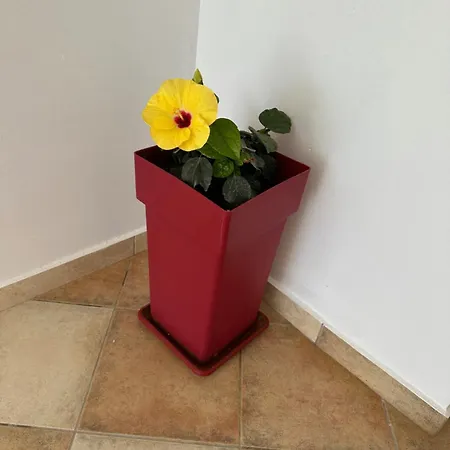 アパートホテル Welcome Naxos