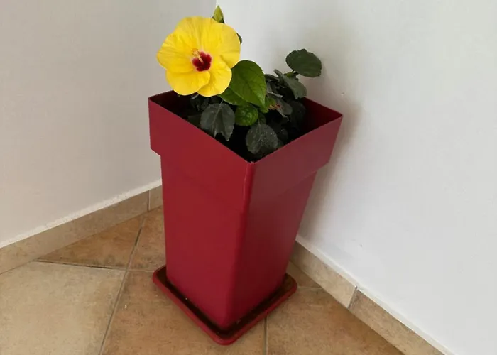 Hotel apartamentowy Welcome Naxos